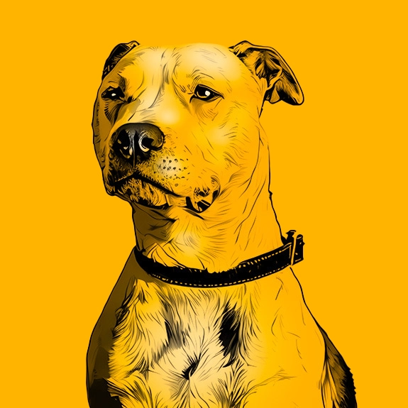 Illustrated portrait of Ziggy the dog, studio mascot, with warm expression and perky ears.